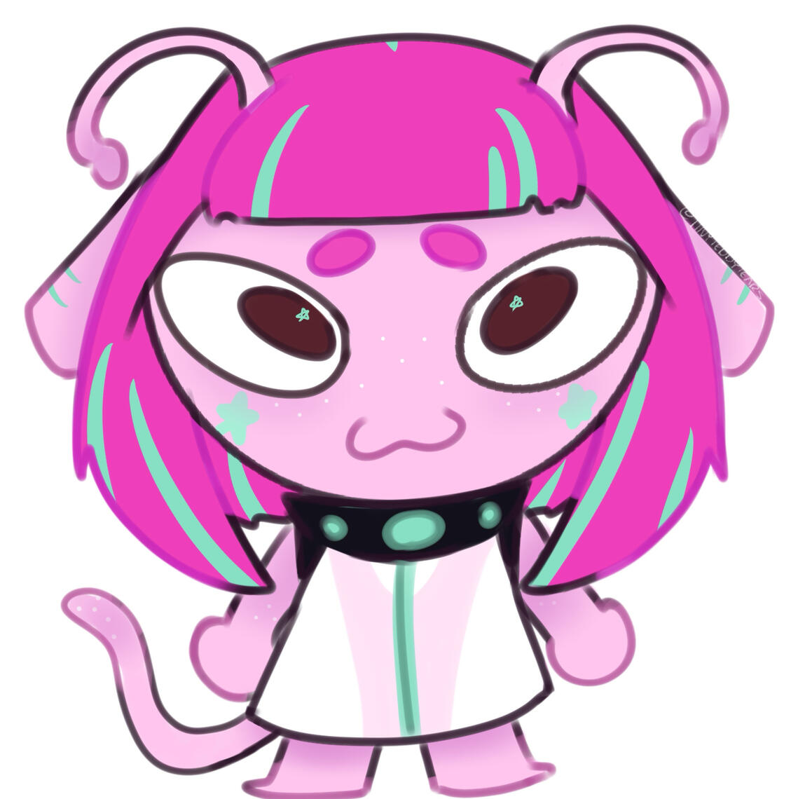 does not have social media